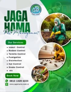 Jasa Pest Control & Anti Rayap Bandung Terbaik & Bergaransi – Jaga Hama