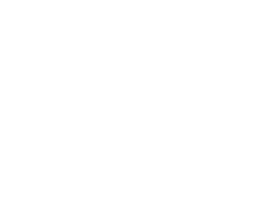 Beautrip Indonesia Logo